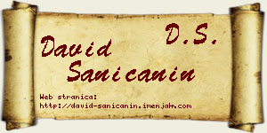 David Saničanin vizit kartica